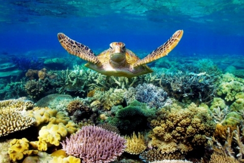 Những điểm đến không thể bỏ qua ở xứ chuột túi vào tháng 104