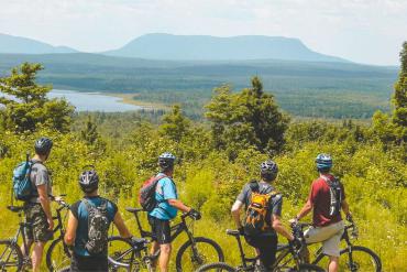 Biking through Pine forest in Dalat